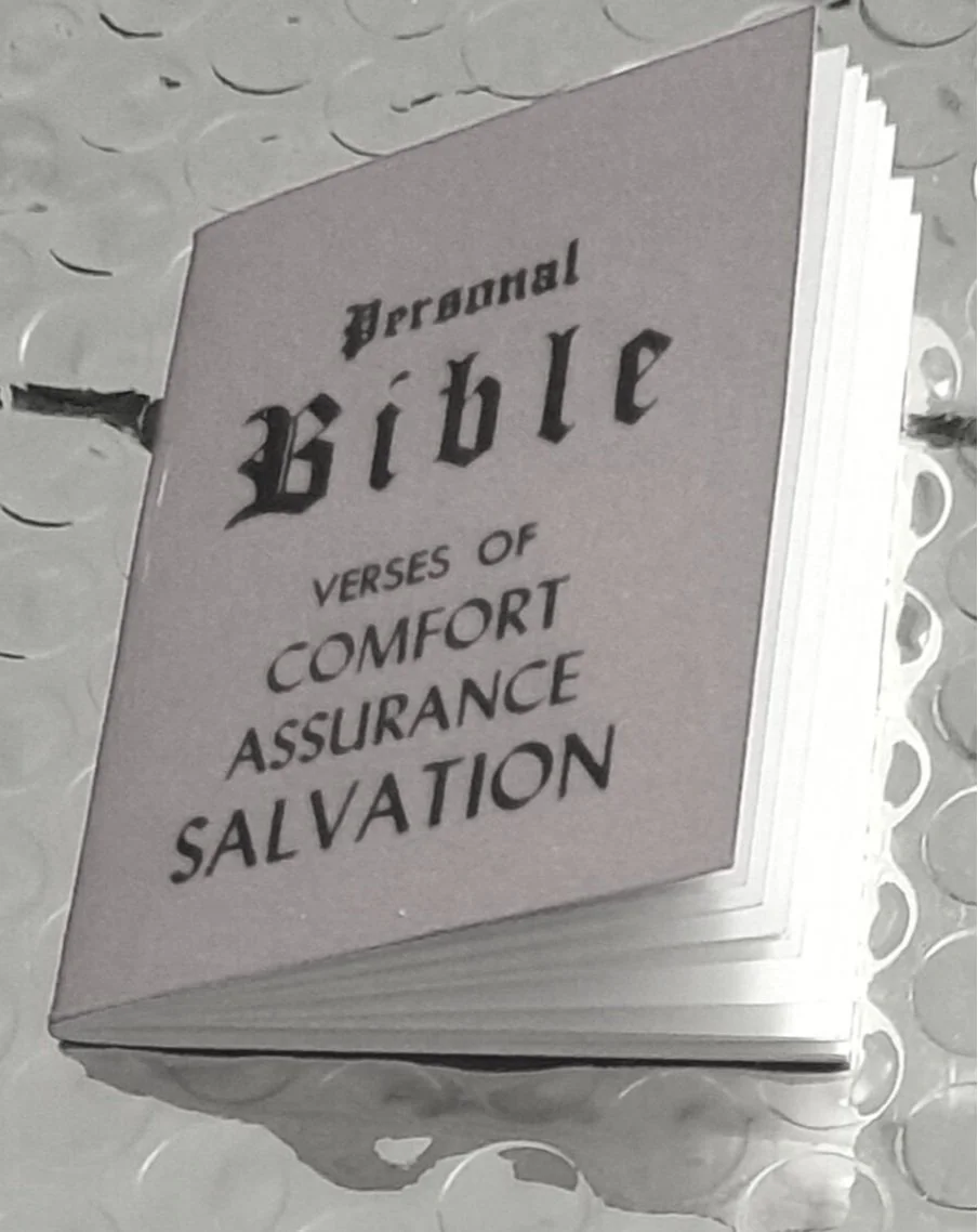 The Little Red Bible