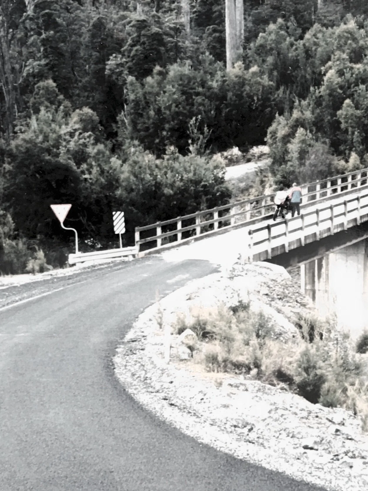 On the bridge