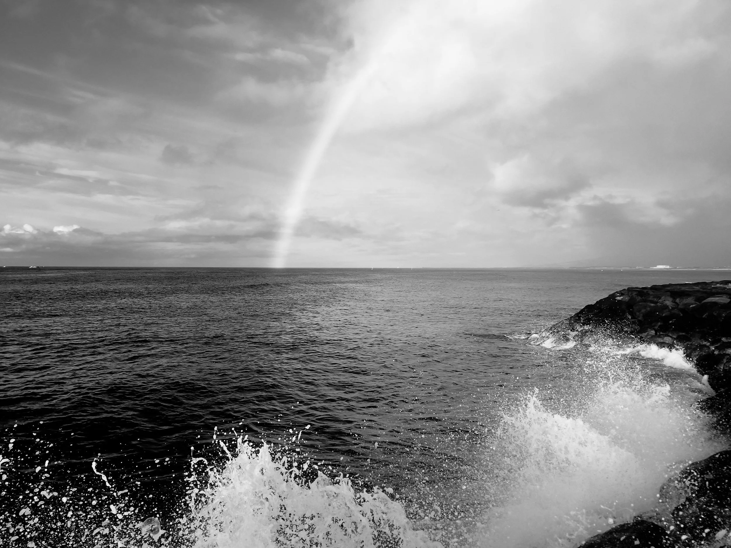 image_123650291 (2).JPG