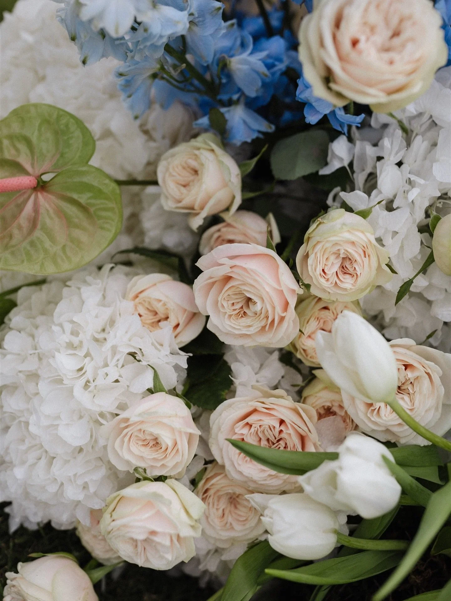 A whisper of blush, a breath of white ✨
Nature&rsquo;s way of saying forever looks good on you🌷