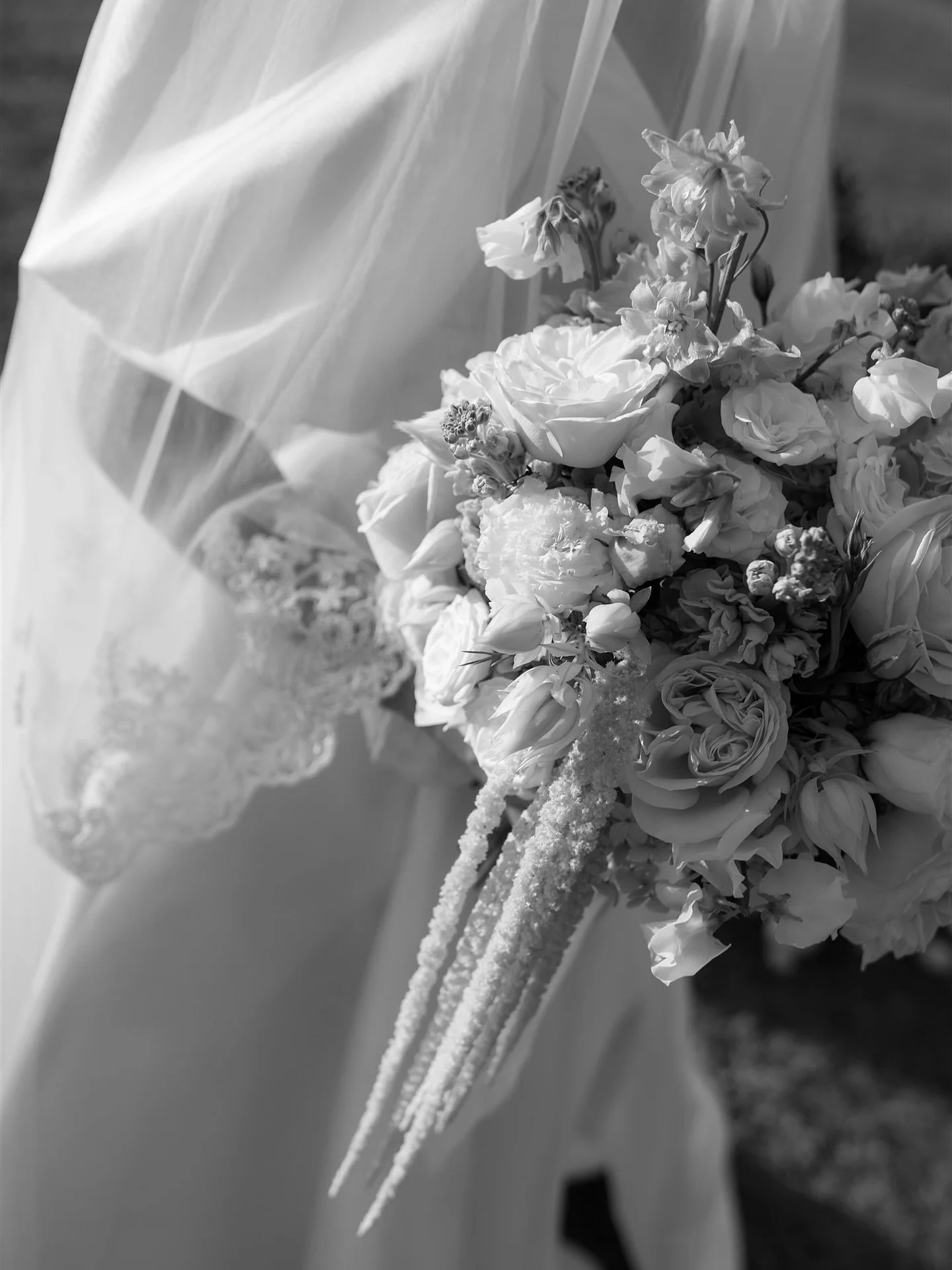 Back on Aussie soil after an unforgettable week in NZ with Shae Estelle, Tom Judson and Luke Mears.
Met 11 incredible photographers and learnt more than I could have imagined; can&rsquo;t wait to share what we created 📸✨