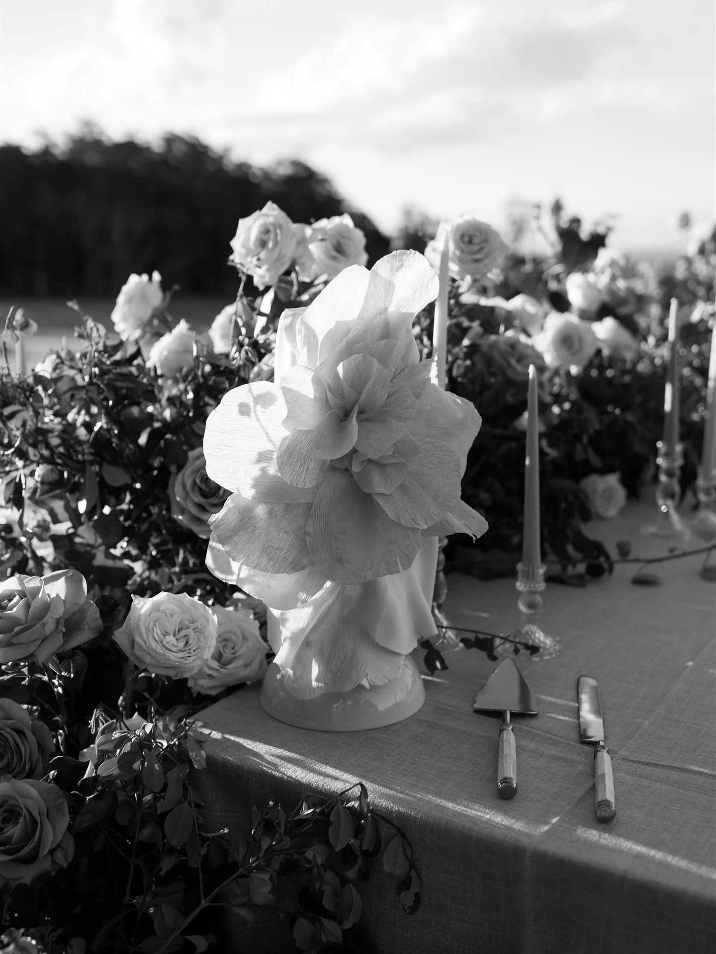 Light, form, and florals; a study in simplicity and grace.
There&rsquo;s something so timeless about the way texture catches the light, how a single bloom can command silence.