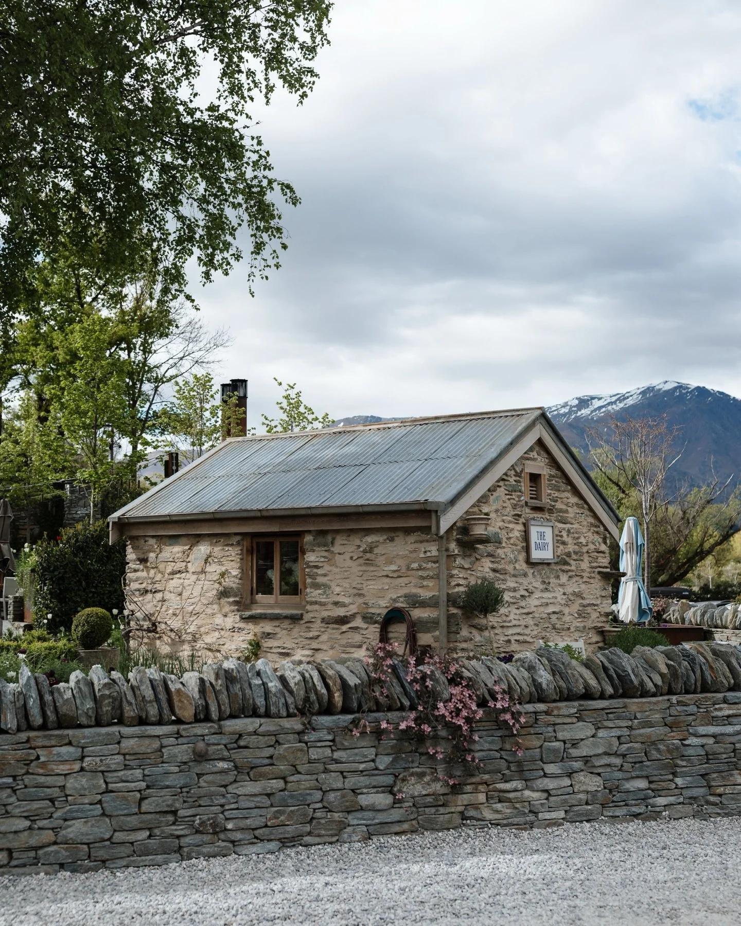A visit to Queenstown would be complete without a stroll through the gardens of Auburn Estate ✨

#queenstownweddingphotographer #qldweddingphotographer #whitsundayweddingphotographer #cqweddingphotographer #countryweddingphotographer