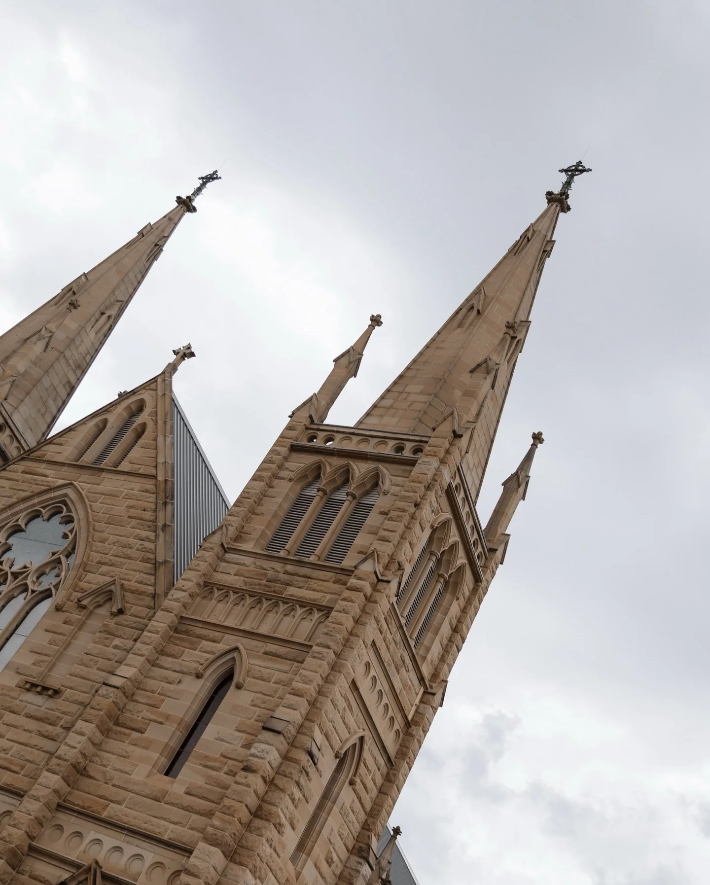 This grand old beauty ✨

St Joseph&rsquo;s Cathedral 

#rockhamptonweddings #rockhamptonweddingphotographer #countryweddings #cqweddingphotographer #whitsundayweddingphotographer