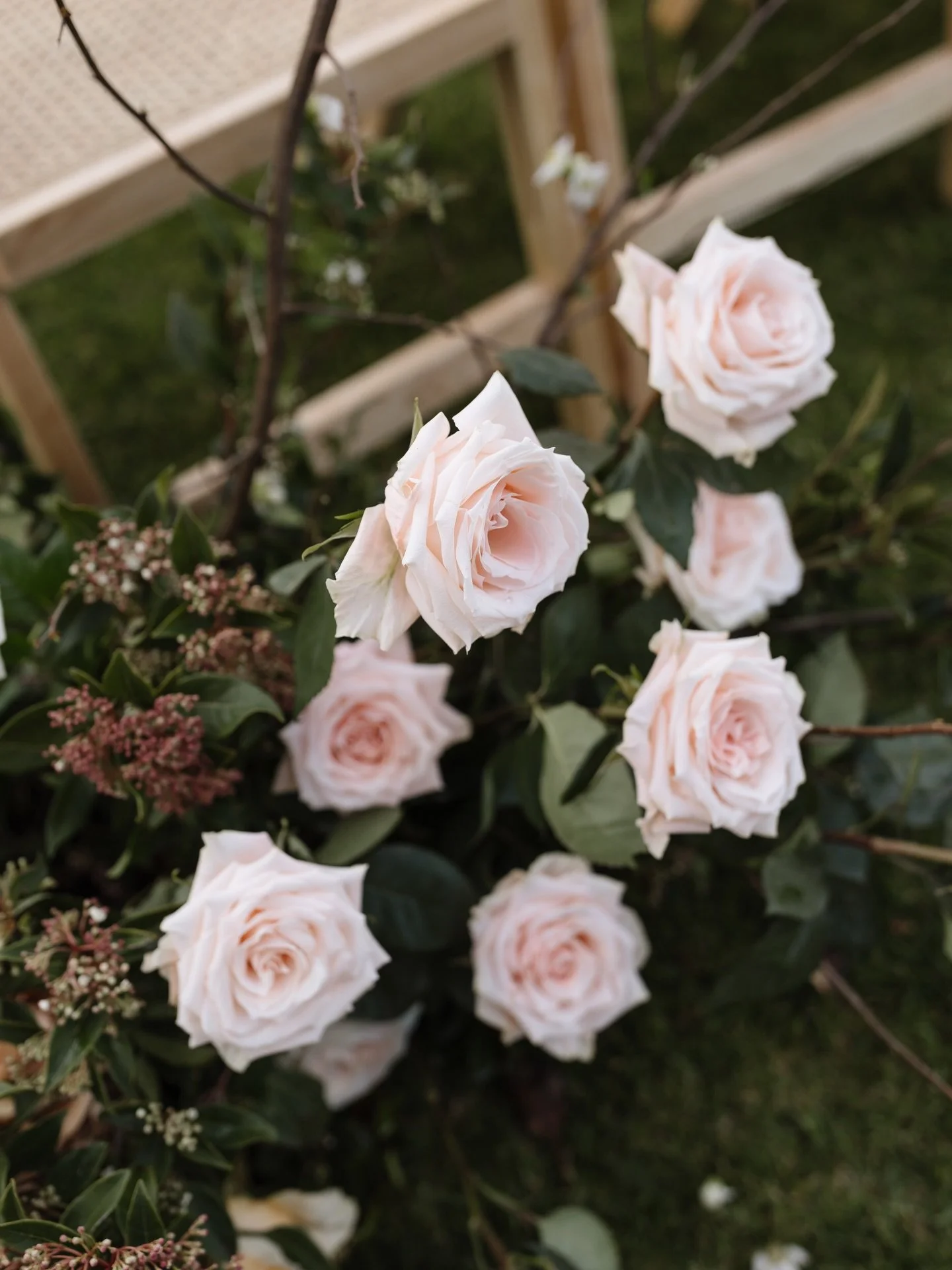Blush roses in a refined setting; a moment of pure elegance at The Diary 🌷