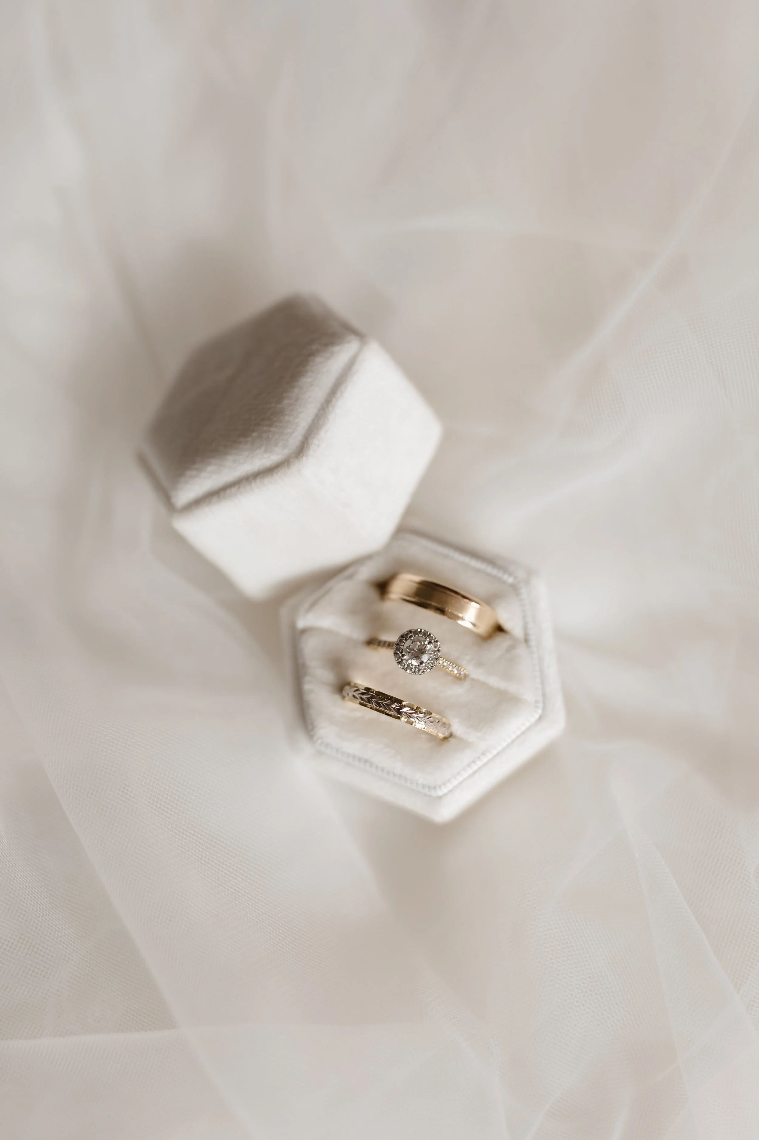 Natalie + Liam - SP-14.jpg