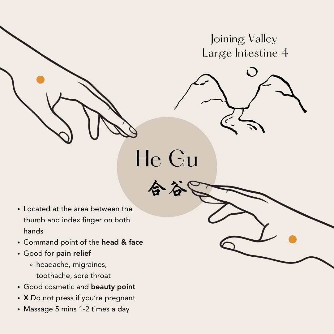🤦He Gu acupoint, also known as LI4, is the Command point for the head and face to alleviate: 
✔️ headaches, migraines
✔️ toothache
✔️ sore throat 
✔️ sore jaw

💆&zwj;♀️It is also often incorporated during facial acupuncture for rejuvenating the ski