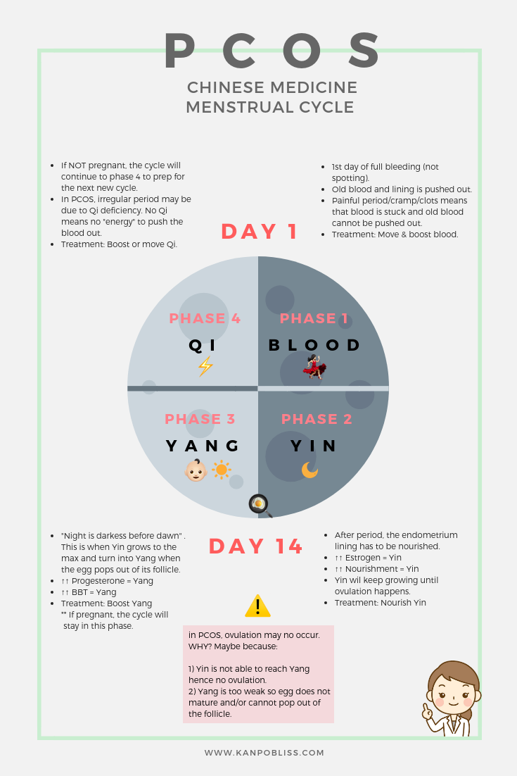 How does TCM view PCOS ? — Kanpobliss TCM