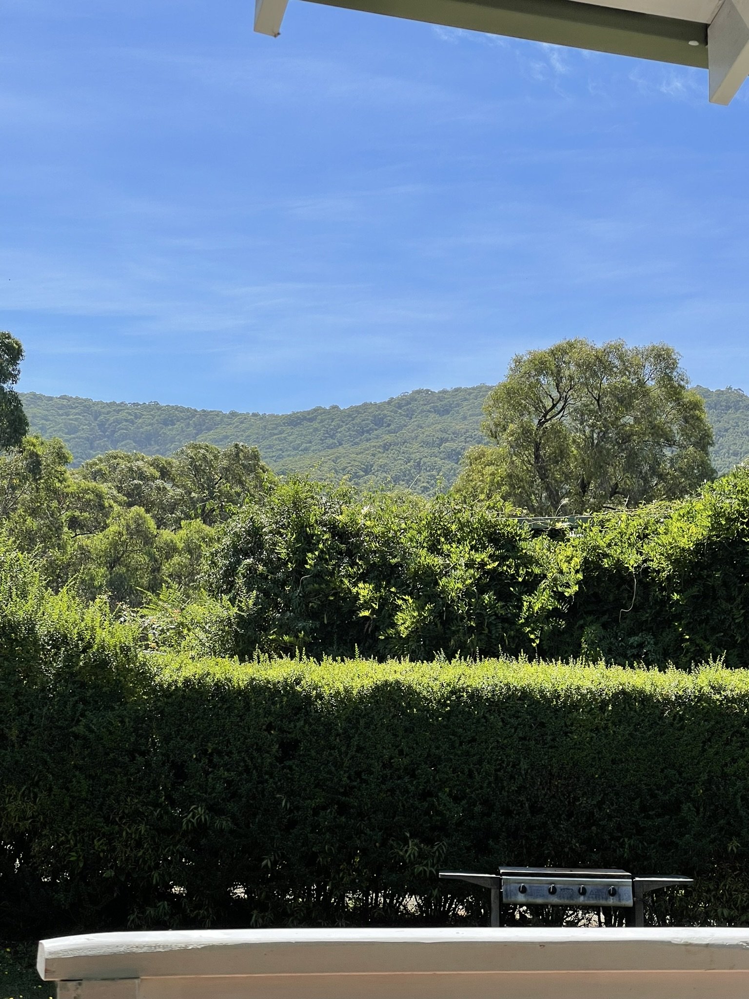 IMG_2506 (1).jpeg