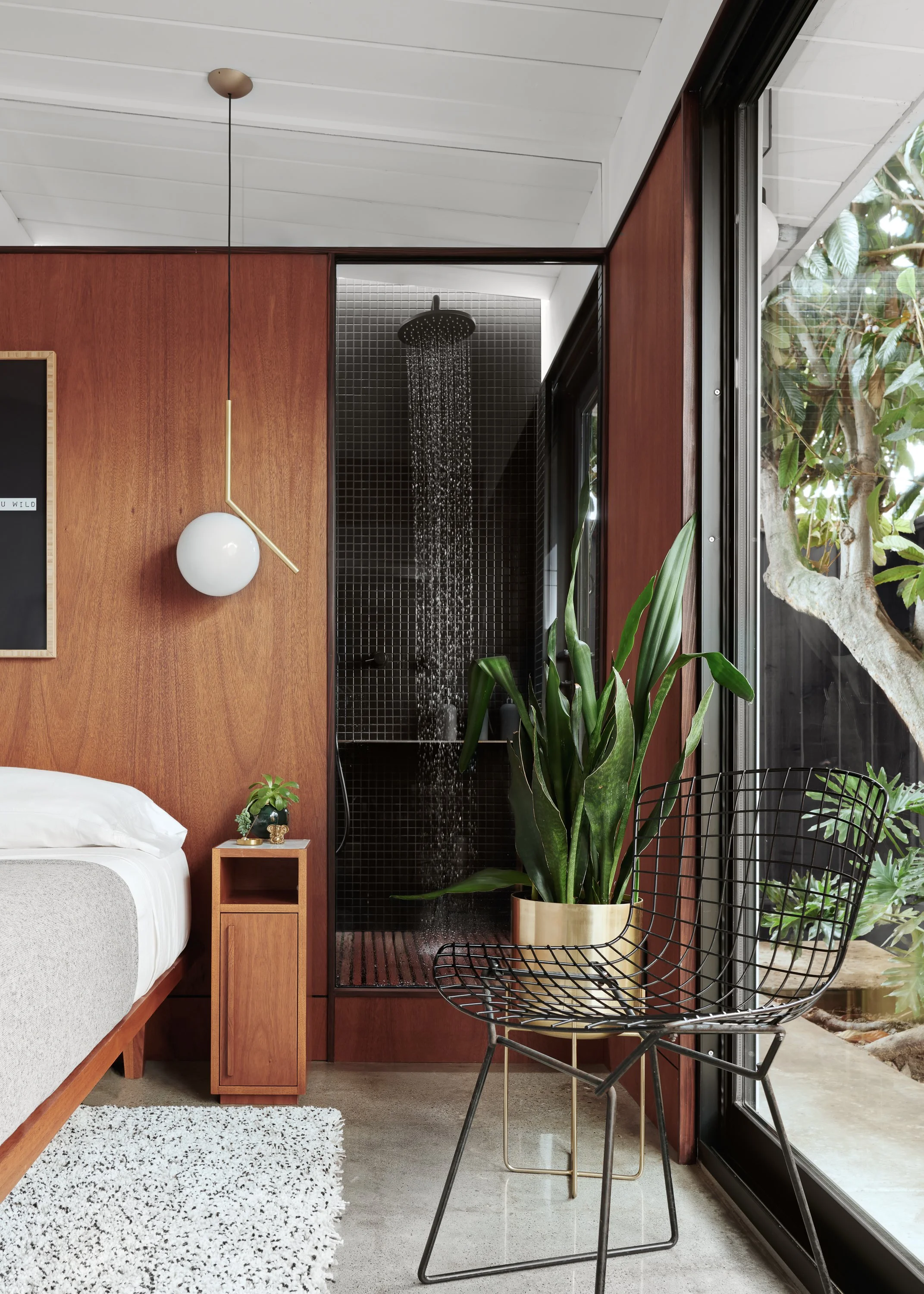 THE BLACK EICHLER