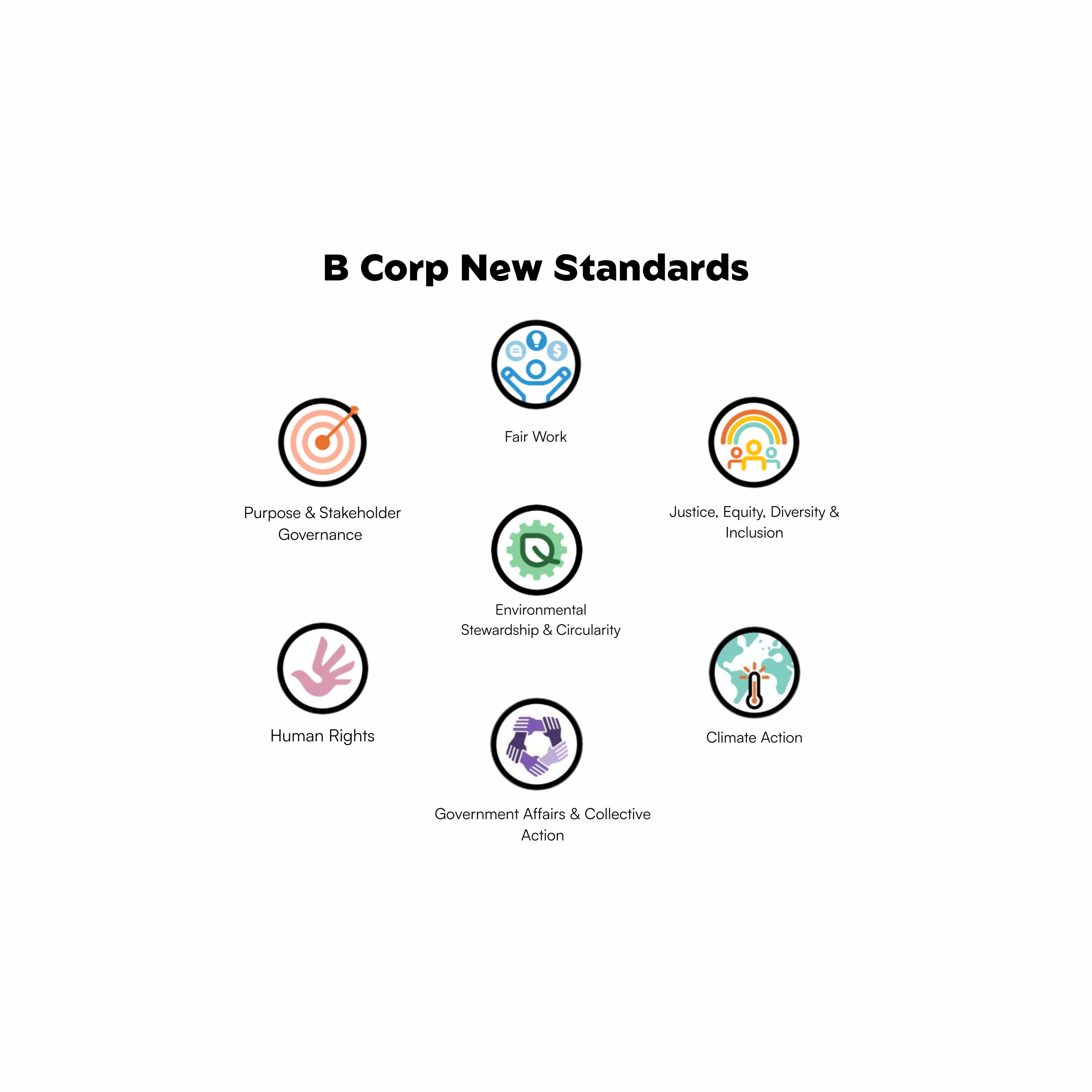Picture of the new B Corp pillars logos (Purpose & Stakeholder Governance, Fair Work, Justice, Equity, Diversity & Inclusion, Environmental Stewardship & Circularity, Climate Action, Human Rights, Government Affairs & Collective Action)