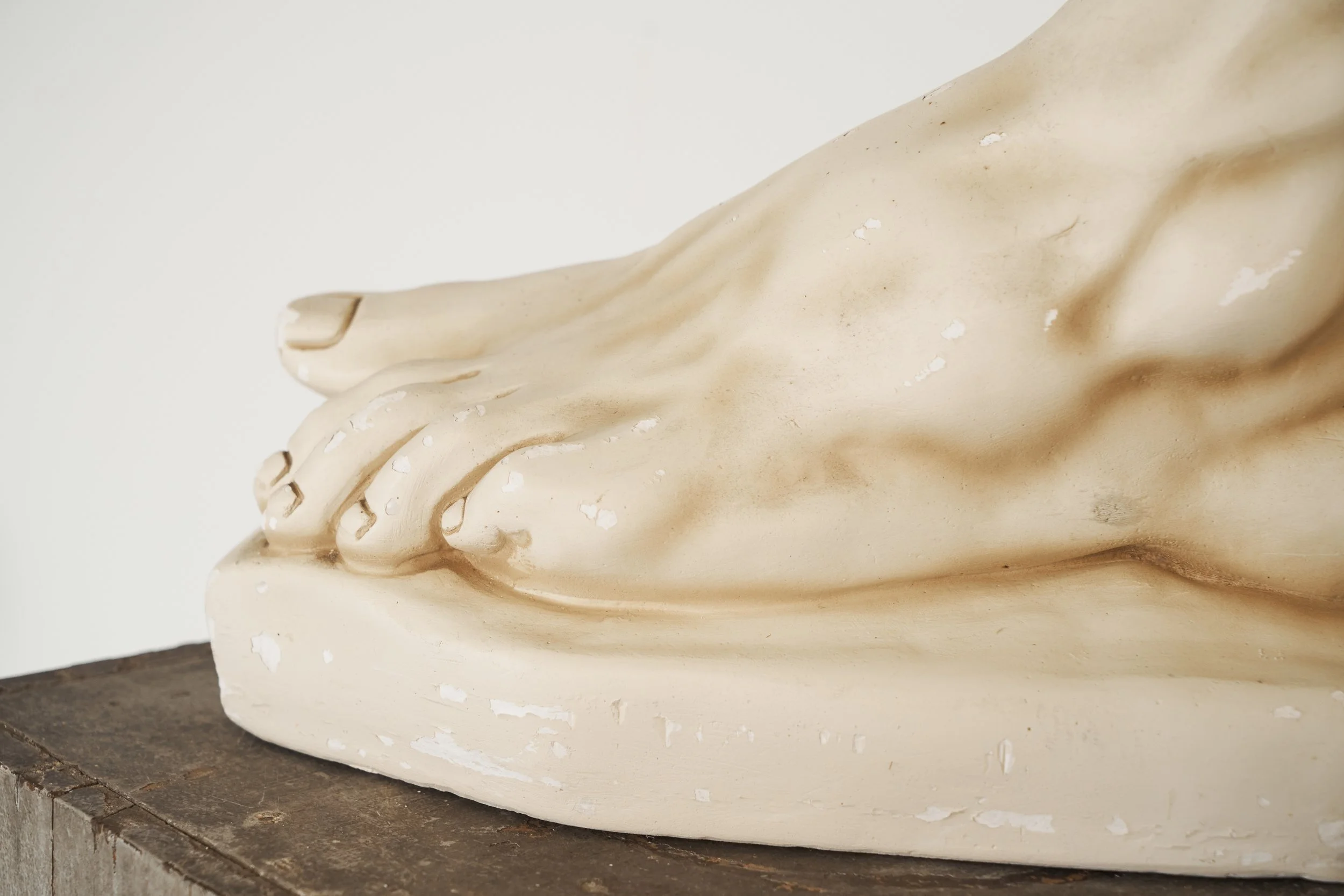 Large Scale Anatomical Study of a Foot in Plaster 1950s front view detail front