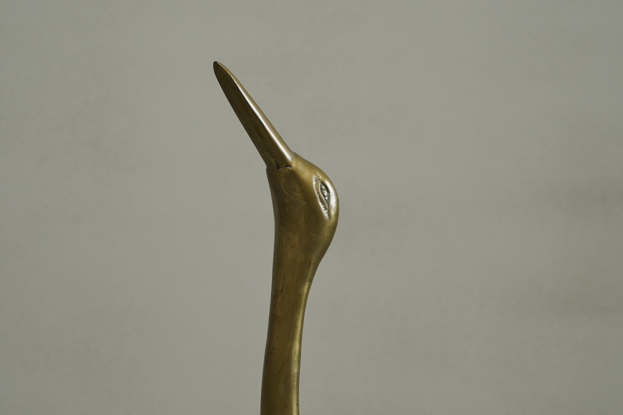 DSC07293.jpg
