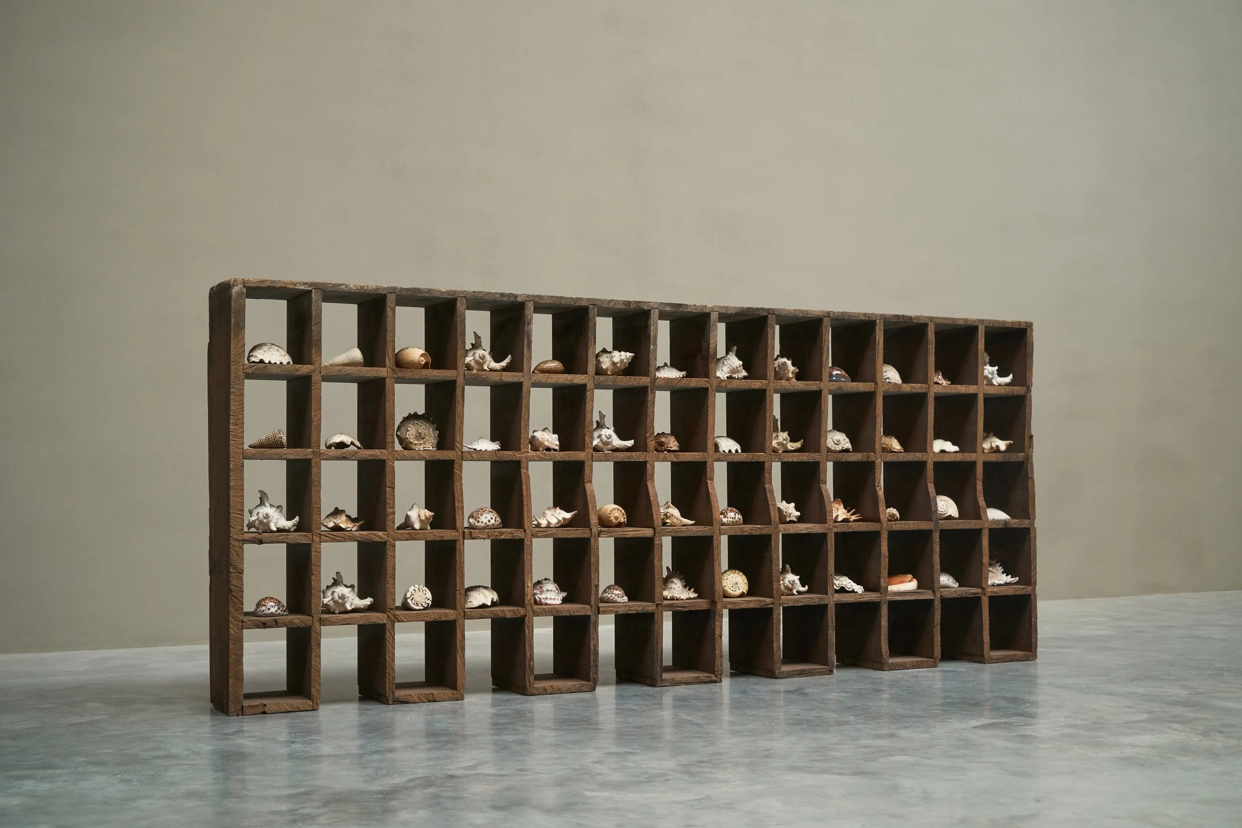 Unique Installation of an Artist's Sea Shell Collection in Antique Oak Cabinet