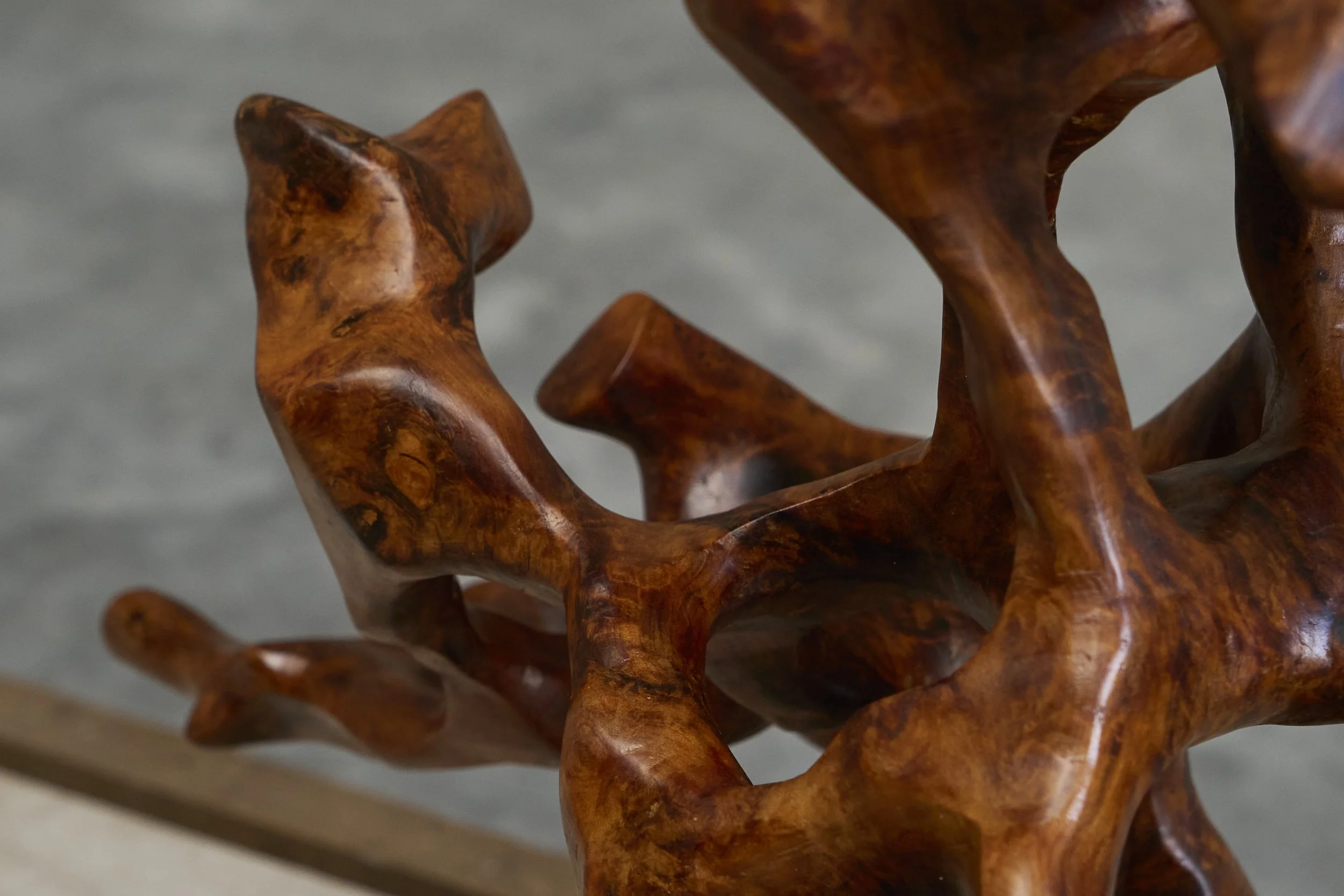 Burl Sculpture 06.jpg