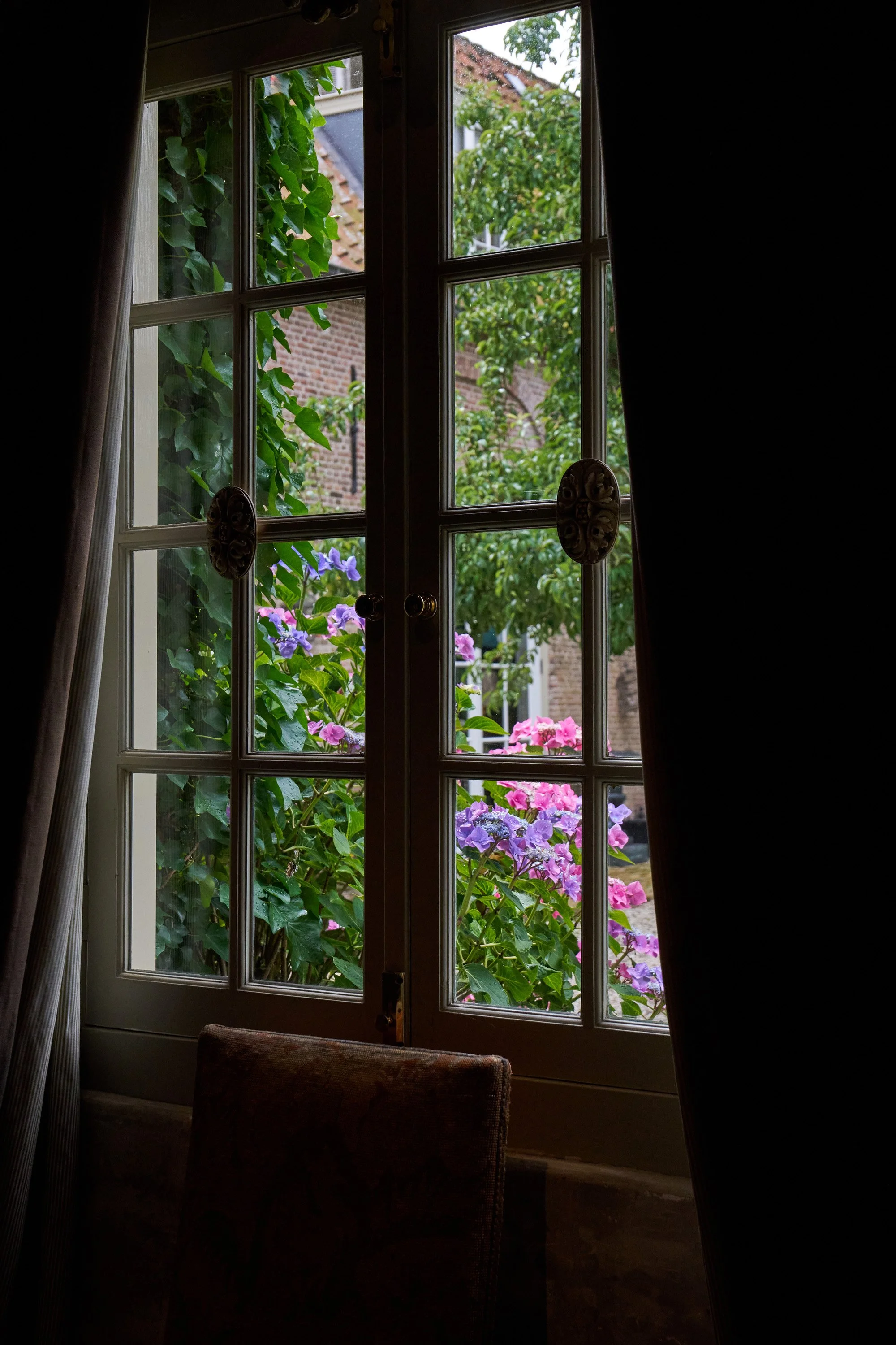 DSC08229.jpg