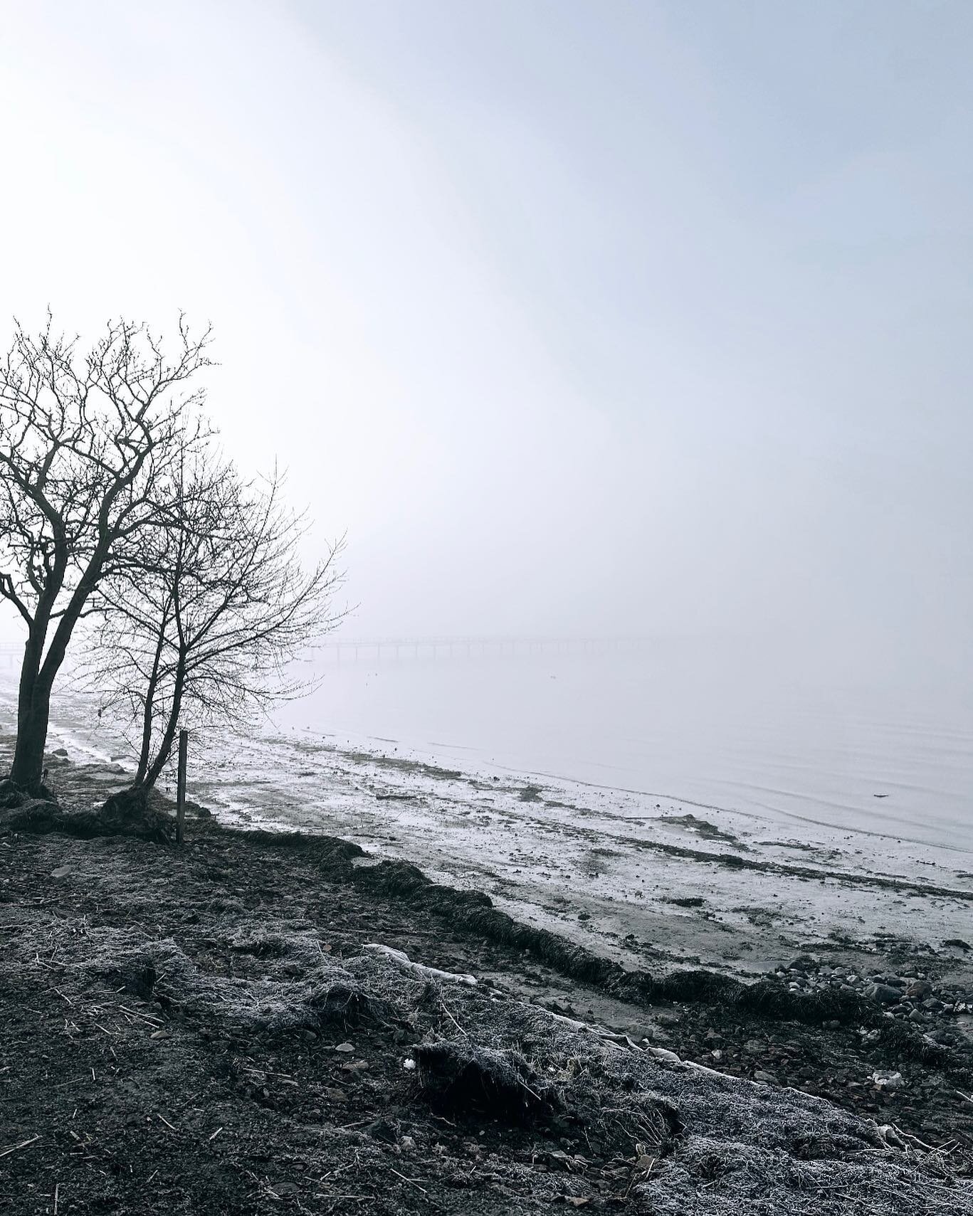 Nature. 🤍 Let&rsquo;s kick this beautiful and foggy Wednesday.