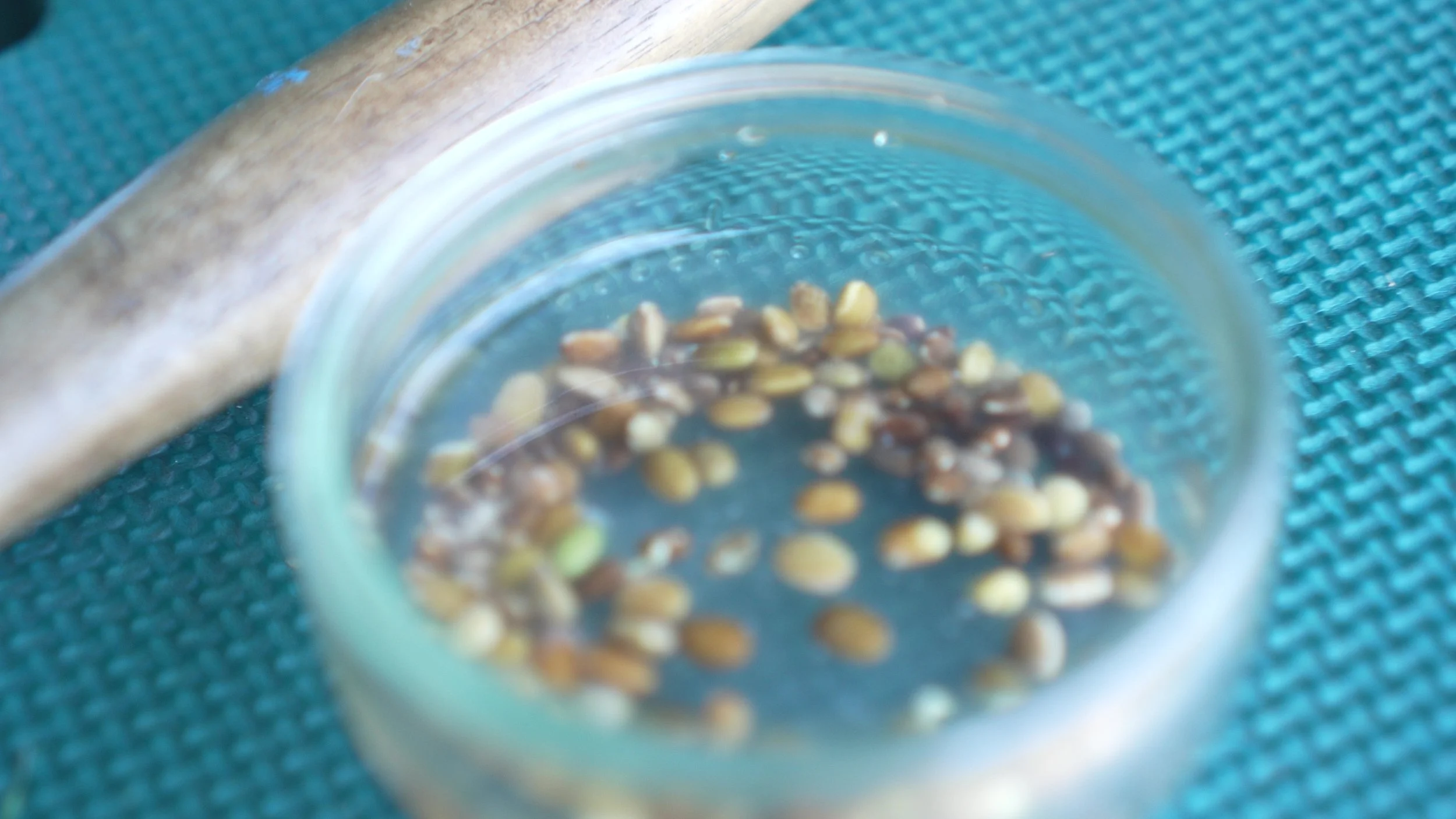 C2015 - frame at 0m26s.jpg