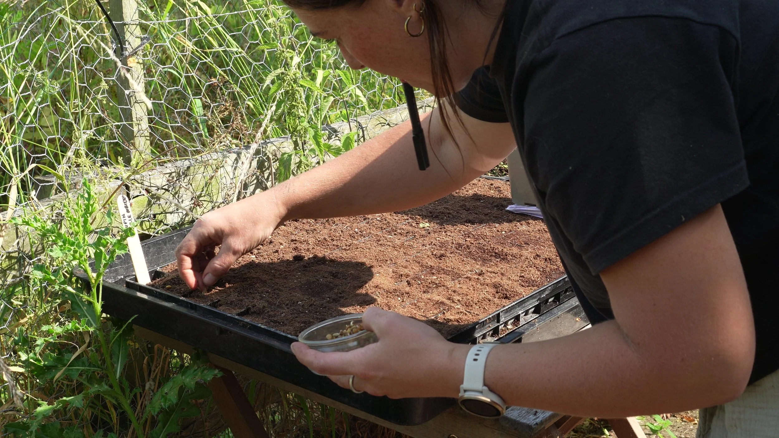 C2016 - frame at 0m50s.jpg