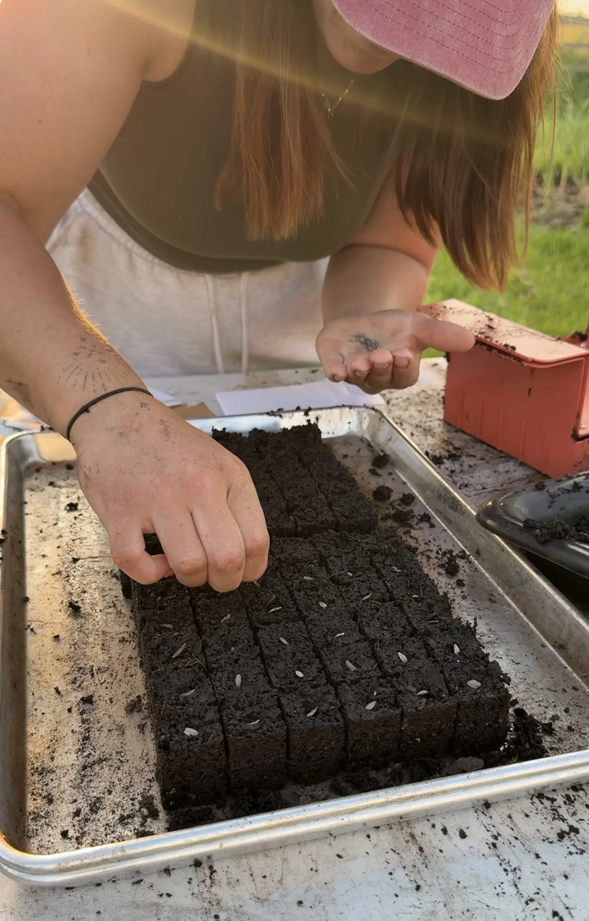 7 Cut Flowers You Can Still Sow in June for Late Summer and Autumn Harvests