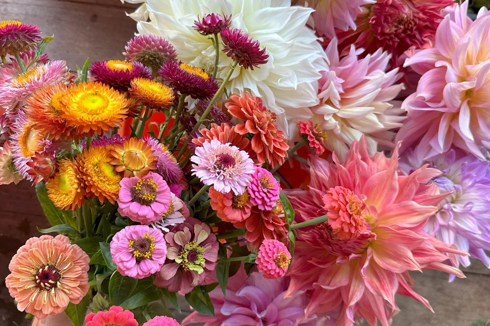 How to Cut & Condition Flowers for Longer Lasting Bouquets — Bloom