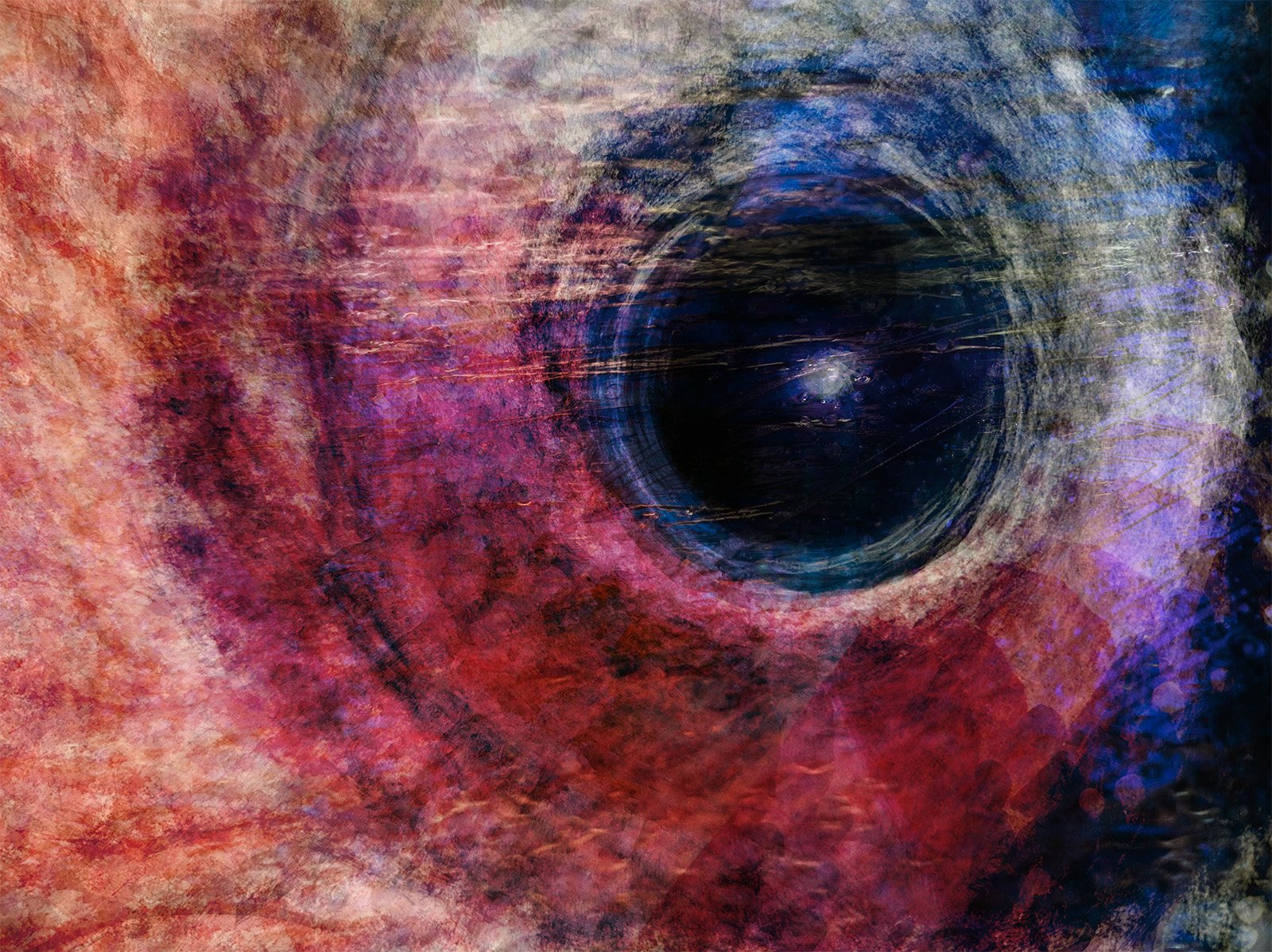 DRAGONS EYE, in camera multiple exposure with and overlayed texture