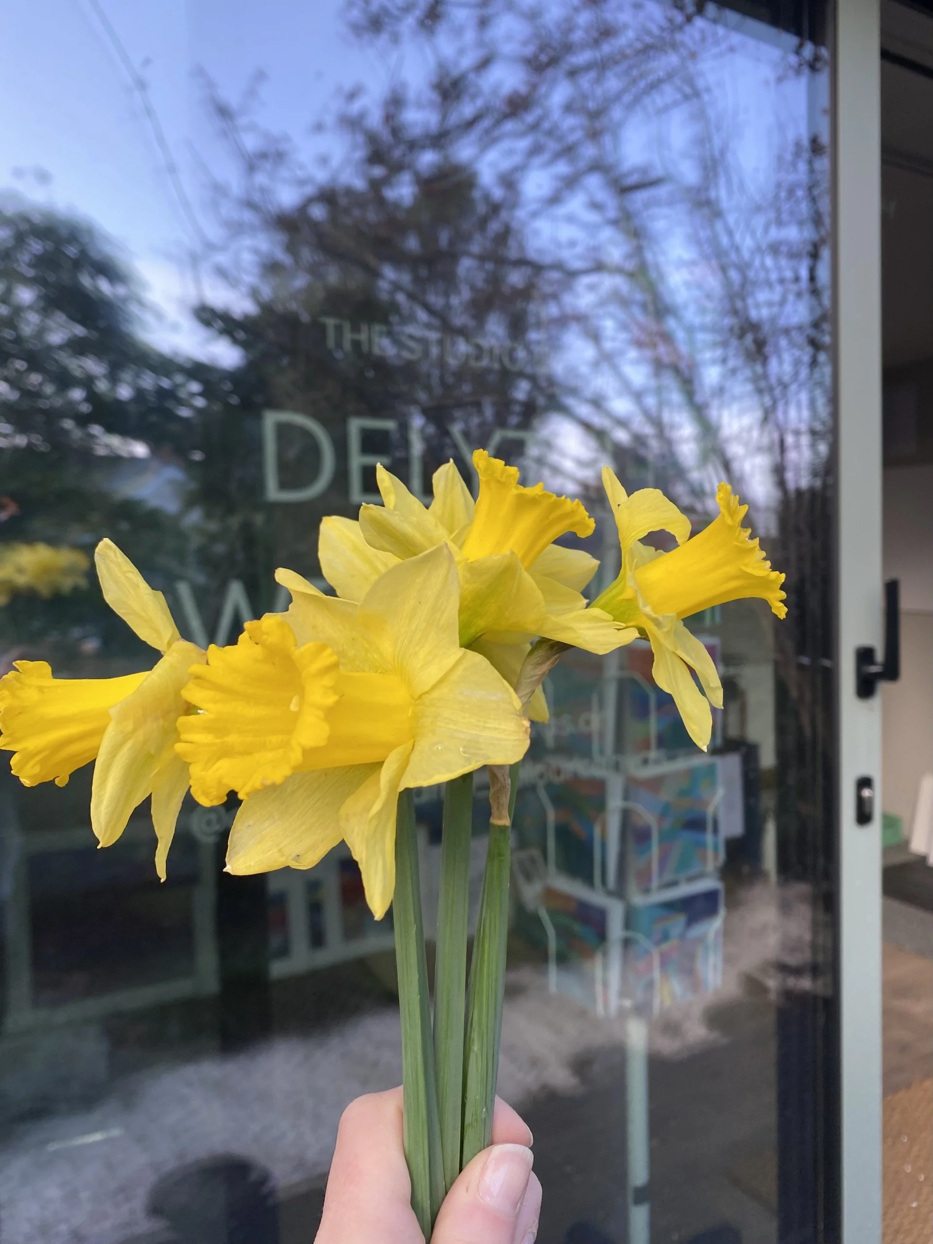 Choosing your own way.