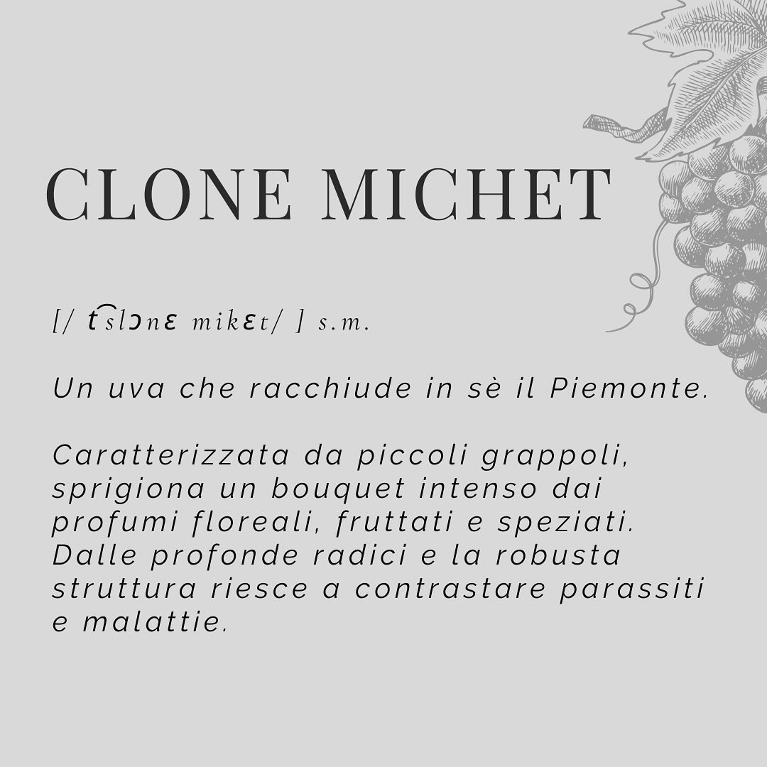 Clone Michet

A grape that embodies the essence of Piedmont

Typify by small bunches,
releases an intense bouquet of floreal, fruity and spicy scentes
Deep roots and strong structure can fight off pests and diseases

#r&eacute;vawinery #r&eacute;vawi