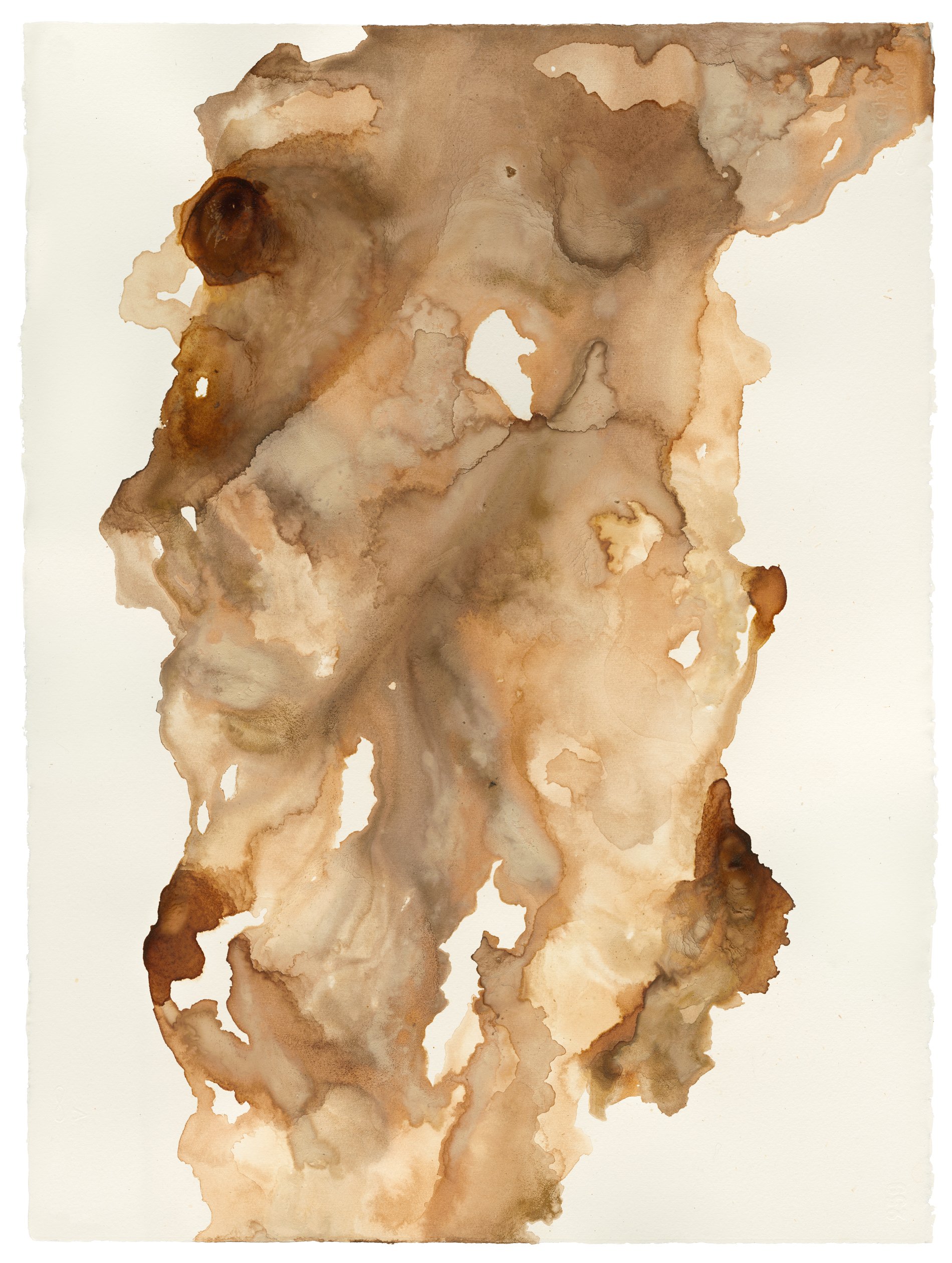 Flood, 2021, 56/76 cm, Camp Udim farm ink and pigment on paper- sandstone, Araucaria tree bark, olive leaves, rust