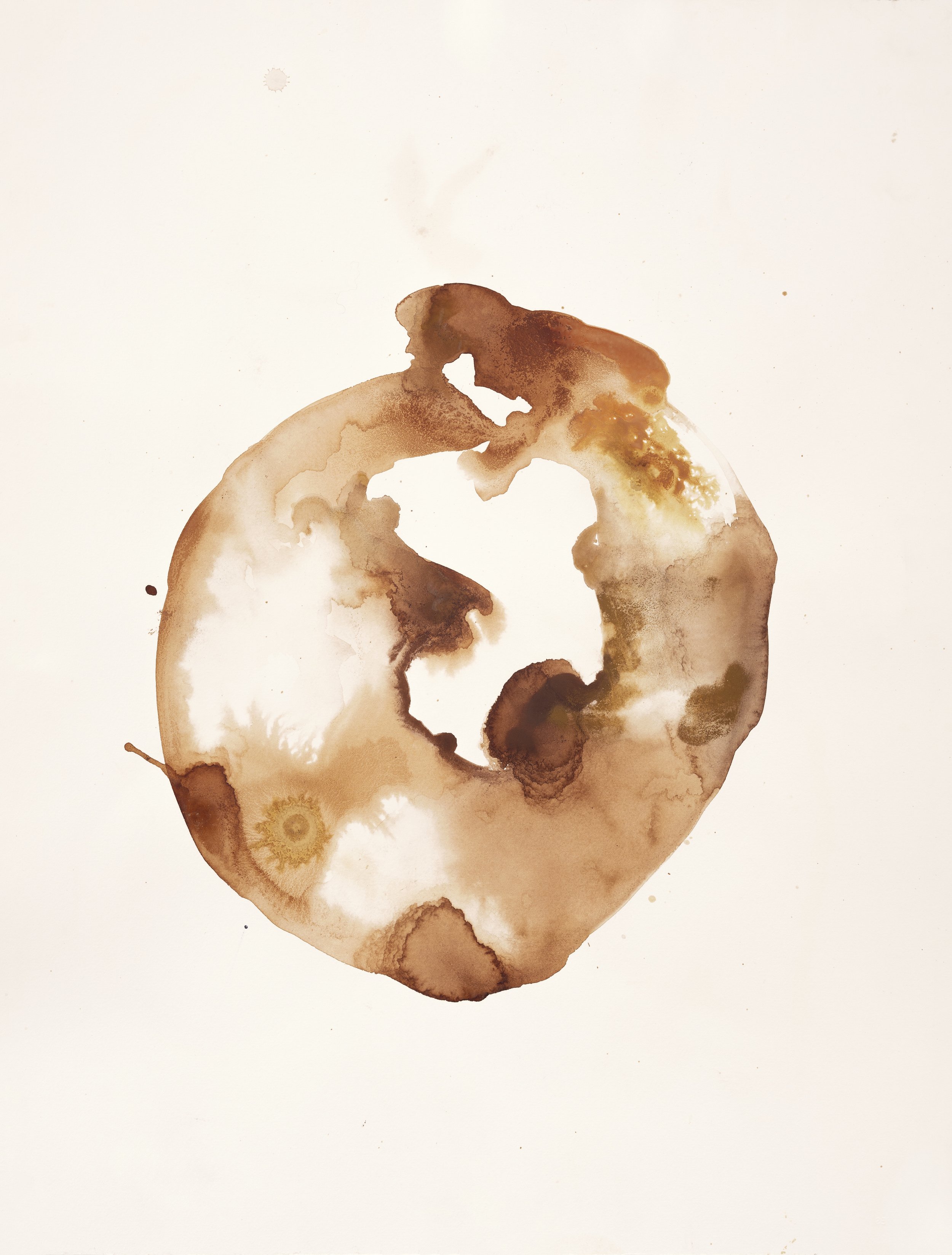 Vessel, 2022, 56/76 cm, Camp Udim farm ink and pigment on paper- sandstone, fungi spores, Araucaria tree bar, rust, old steppingstone