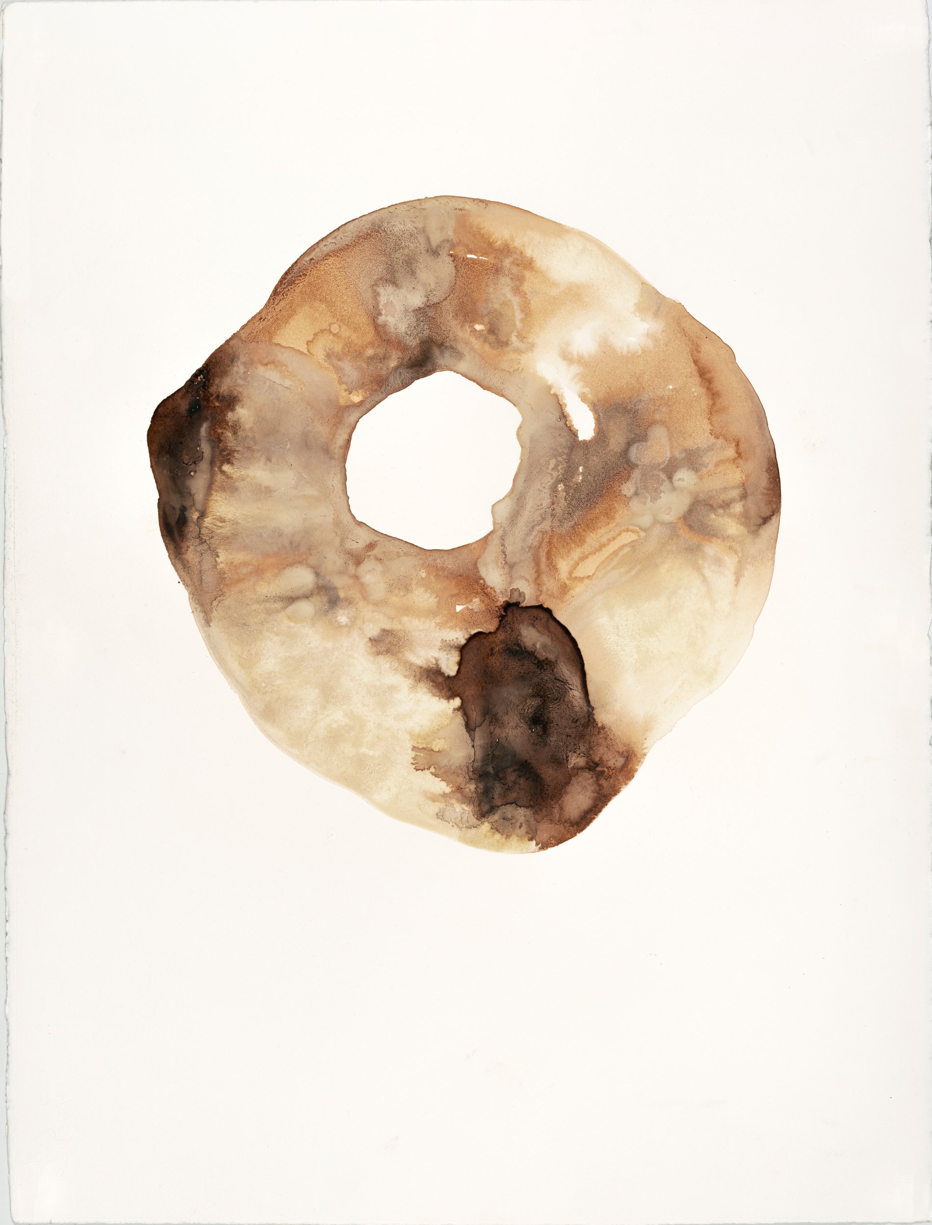 Even, 2021, 56/76 cm, Camp Udim farm ink and pigment on paper- sandstone, fungi spores, Araucaria tree bark, rust