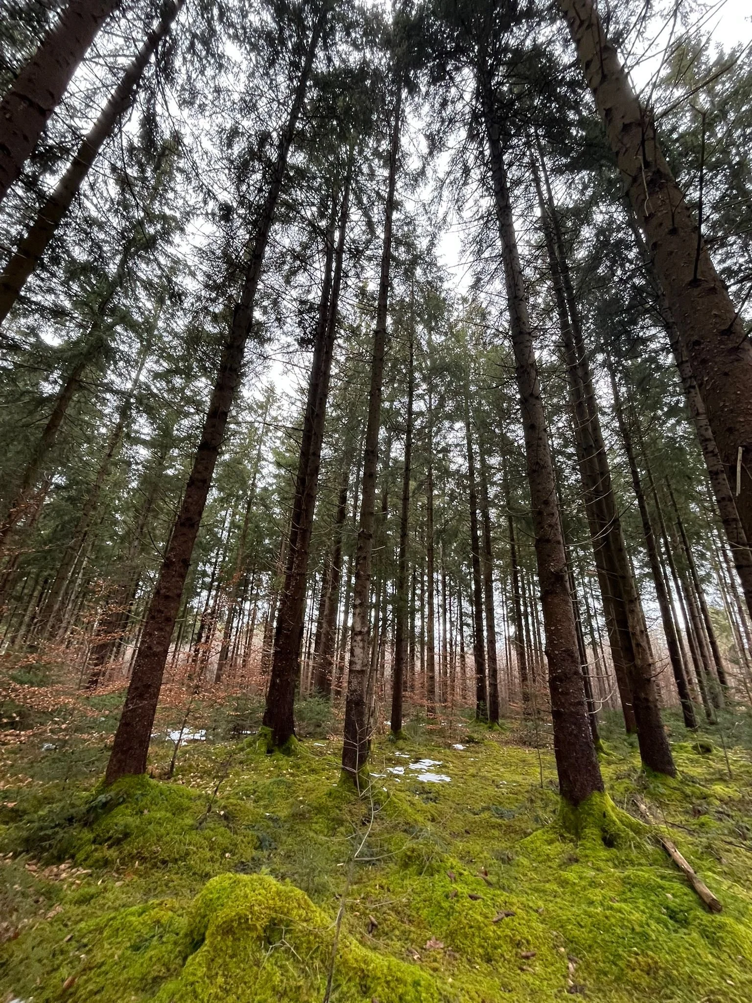 Schuldgefühle verstehen – warum sie entstehen und warum sie bleiben können