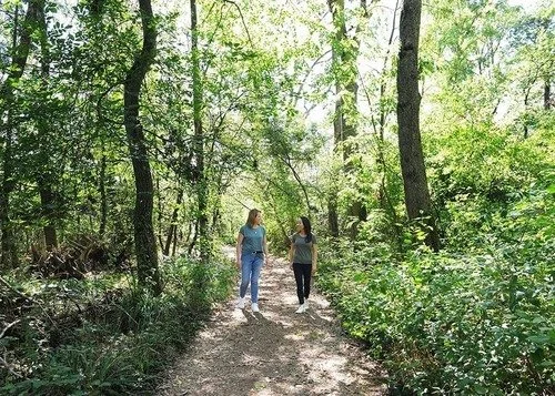 Zwei Frauen gehen in einem Wald spazieren und unterhalten sich