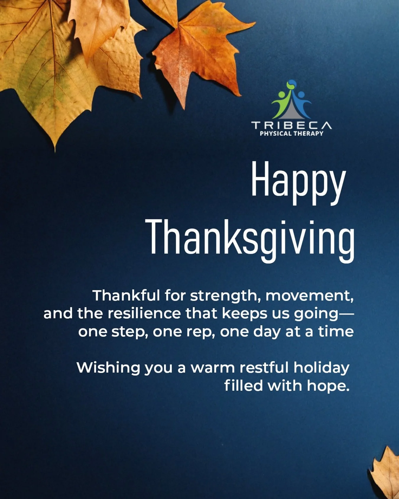 With gratitude from our Tribe to yours, Happy Thanksgiving! 🍂🧡

#TribecaPhysicalTherapy #Thanksgiving #ThankfulThursday