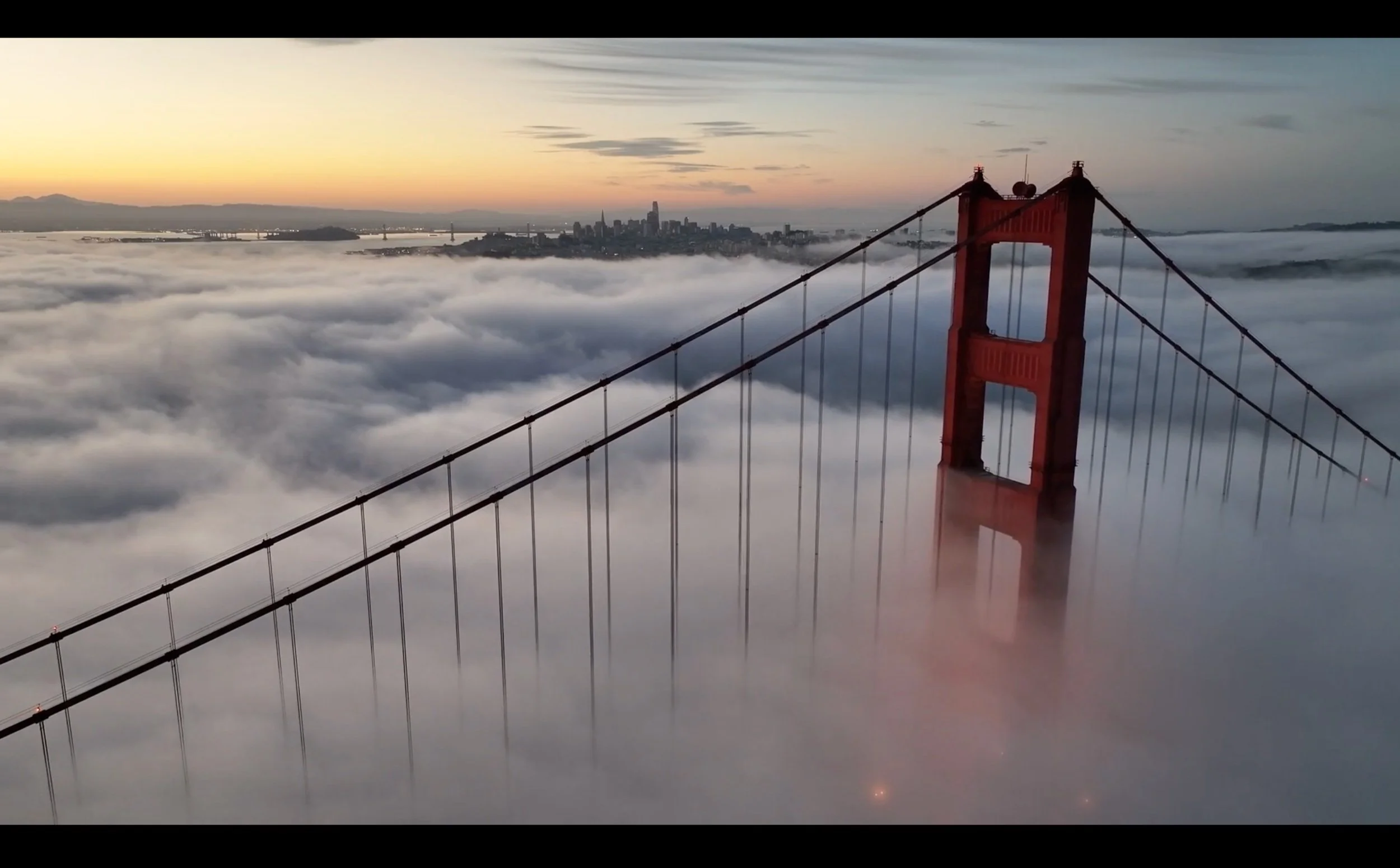 SF Rising