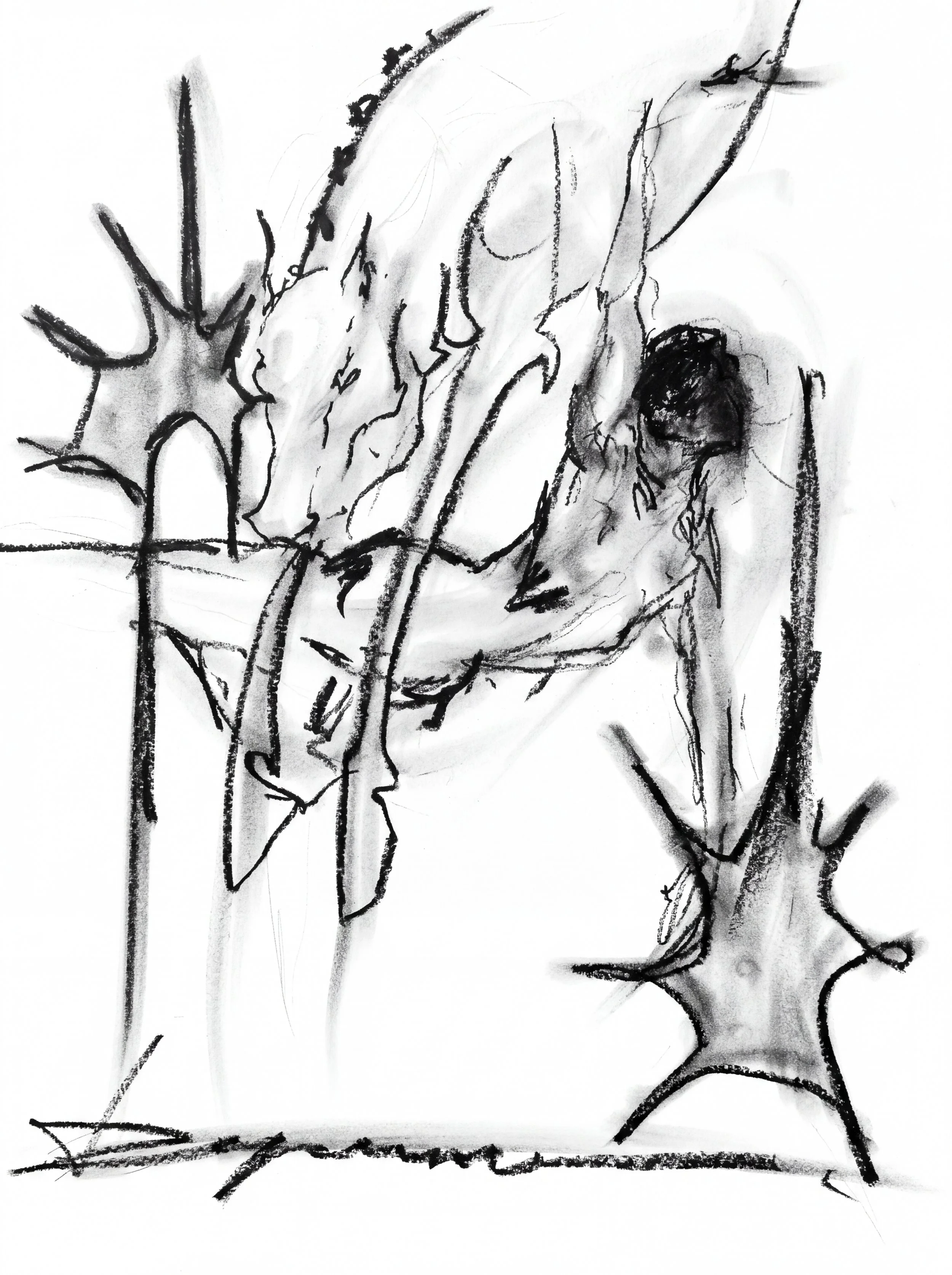Fine art print Isabel Deprince