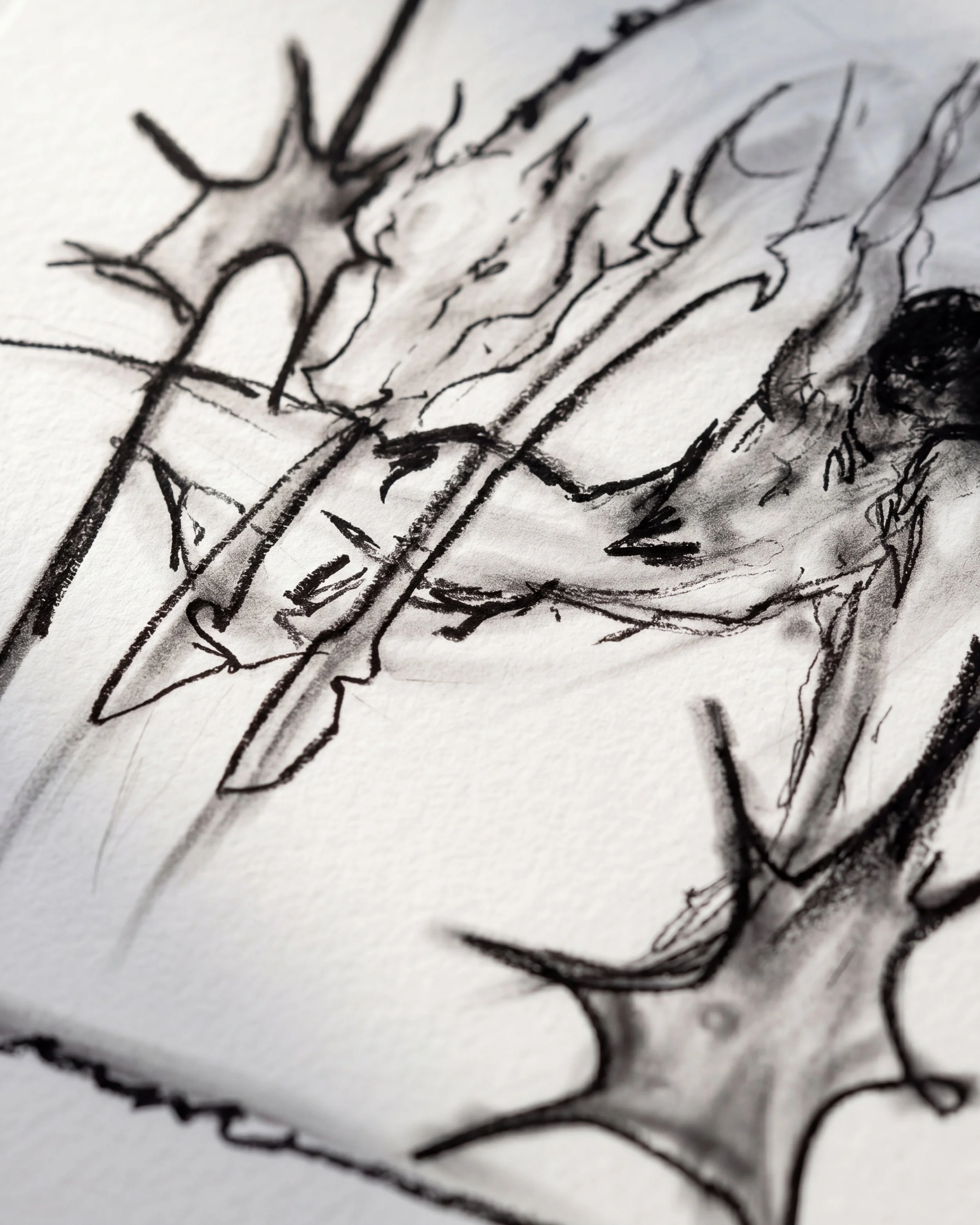 fine art print Isabel Deprince