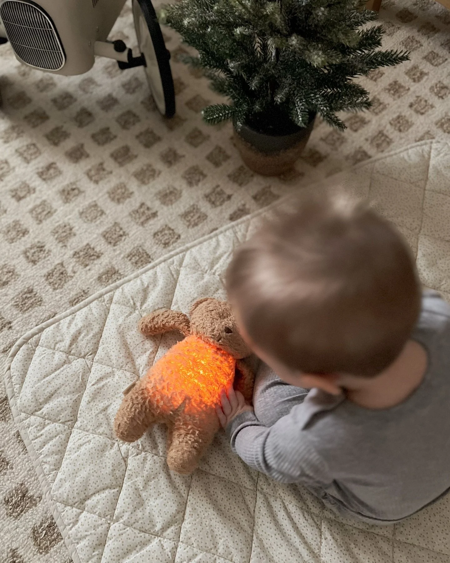 Voici mes must de chez @charlotteetcharlie et tout vos id&eacute;es cadeaux pour cette ann&eacute;e 🧸 psss, tout est a 20% pr&eacute;sentement (!!)
 
Ourson lumineux @moonie_eu
Pyjamas des f&ecirc;tes @petitlem 
Livres @auzouquebec 
Toutous @jellyca