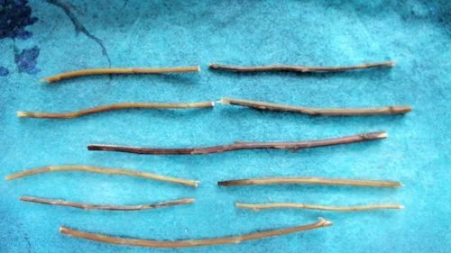 Thunder Over Thunder represents The Arousing in the I-Ching