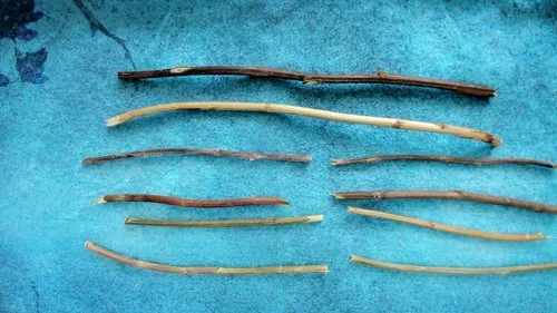 Win Over Earth represents Observing in the I-Ching