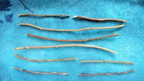 Lake Over Mountain represents Sensitivity in the I-Ching