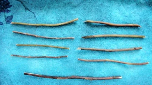 Earth Over Thunder represents Returning in the I-Ching