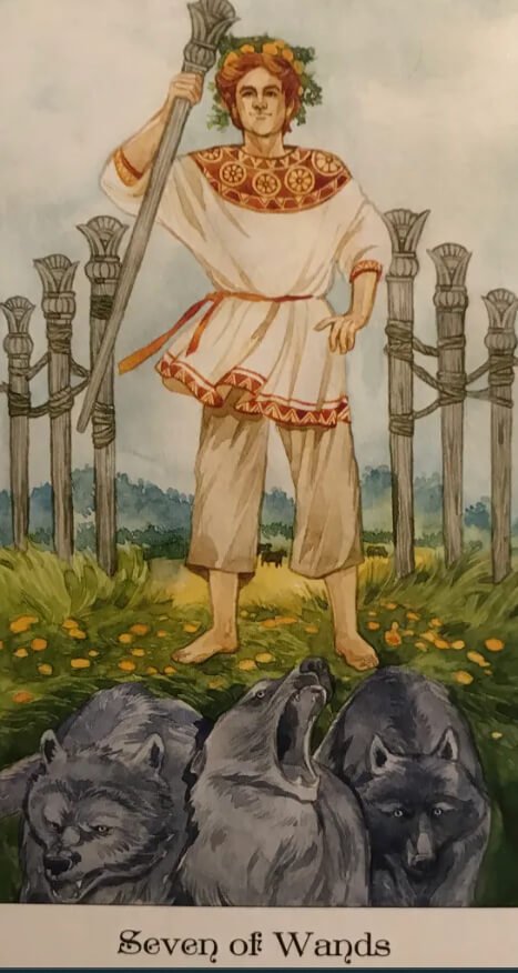 The seven of wands repesents defensiveness, opposition and opinons in the minor arcana in the tarot