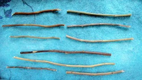 Earth Over Wind represents Ascending in the I-Ching