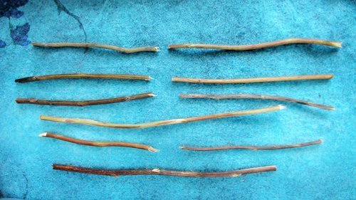 Earth Over Fire represents Darkening Of The Light in the I-Ching