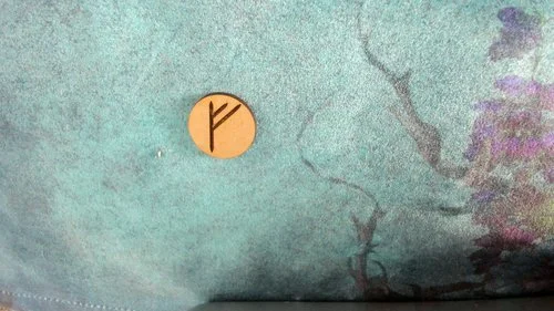Fehu represents cattle and is the rune of of wealth and fulfilment