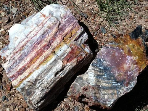 Petrified Wood represents tradition and the ancestors in crystal divination