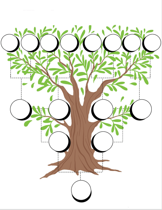 Learn the steps of how to trace your family tree and how to connect with your ancestors through divination techniques such as tarot, lenormand, oracle cards, crystals, runes, healing methods and more on the Genealogy Psychic Blog