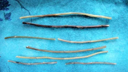 Wind Over Wind represents Gentle in the I-Ching