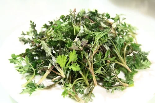 The herb mugwort can be used to aid your psychic devopment and mediumship skills in a tea leaf reading